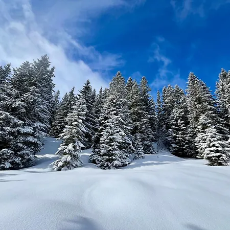 Gastein 2 *