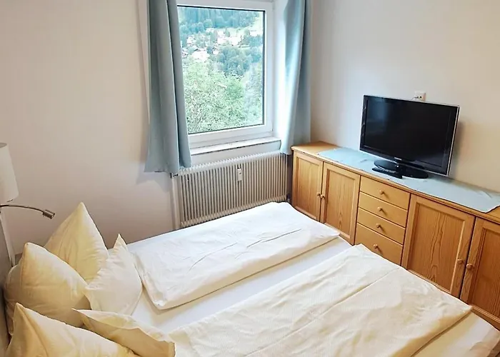 Проживание в семье Gastein 2 Бадгаштейн